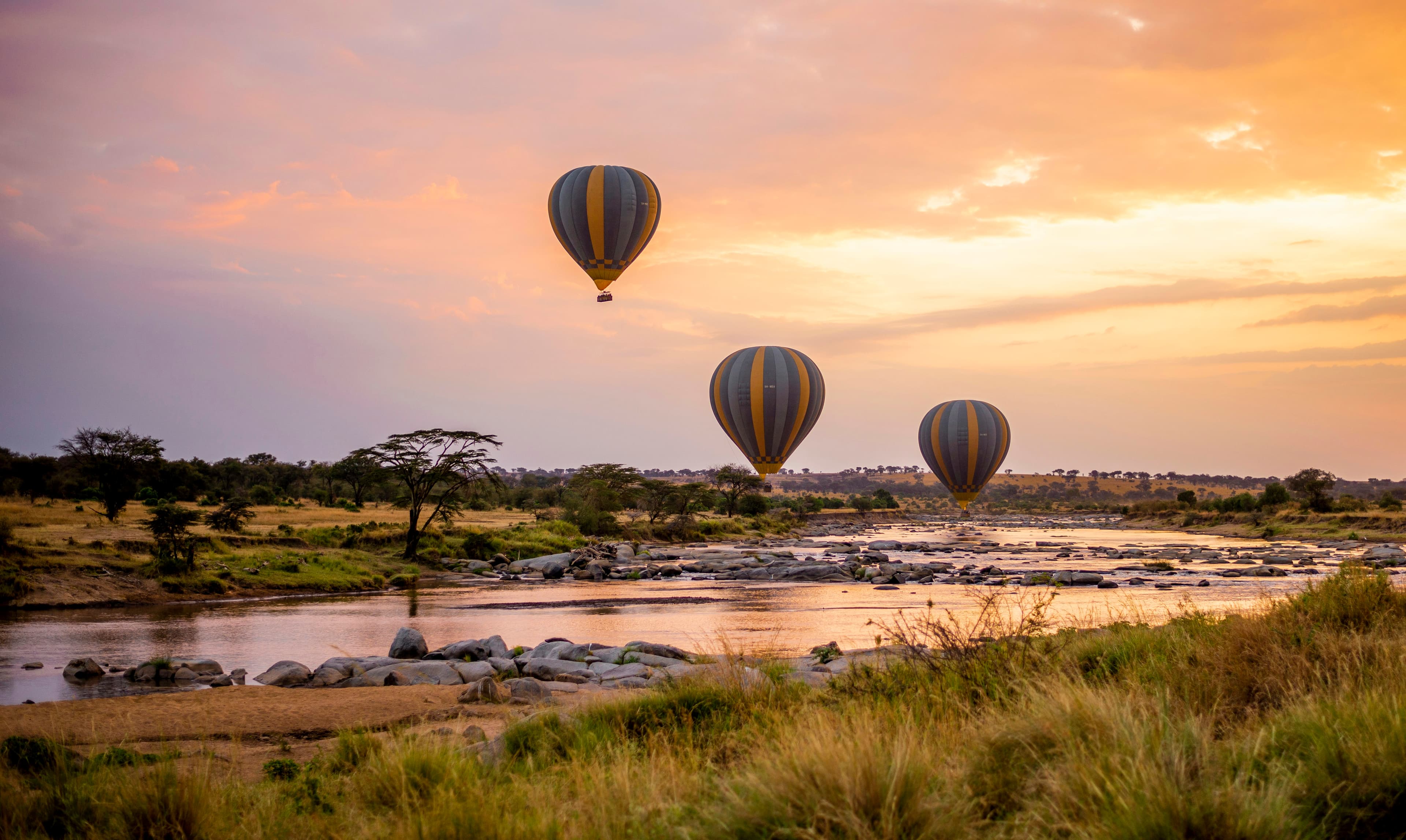 Safari Guide to Tanzania's Serengeti